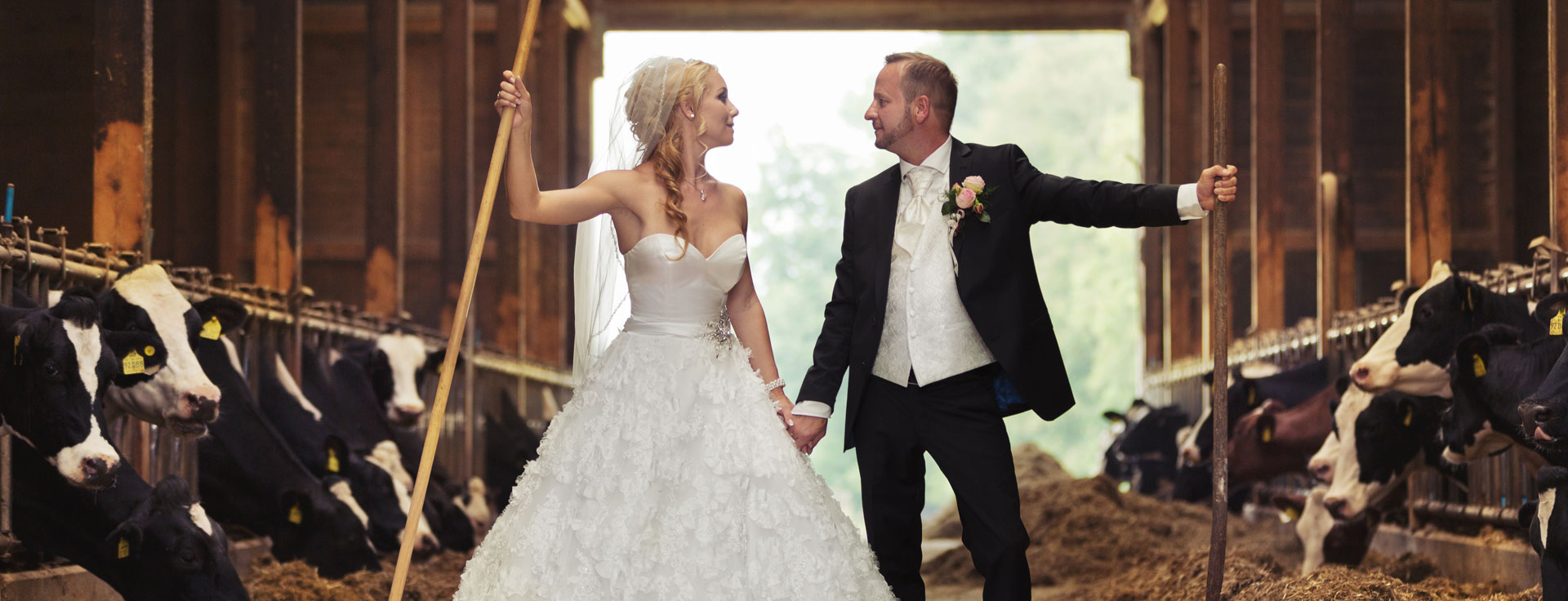 Hochzeit auf dem Bauernhof, Brautpaarfotos im Kuhstahl